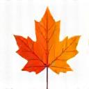 Stylized autumn leaf icon symbolizing fall lawn preparation