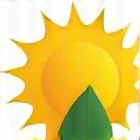 Bright sun icon with green leaf representing summer lawn care