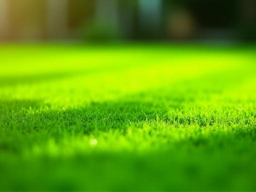 Perfectly mowed lawn with crisp lines and defined edges